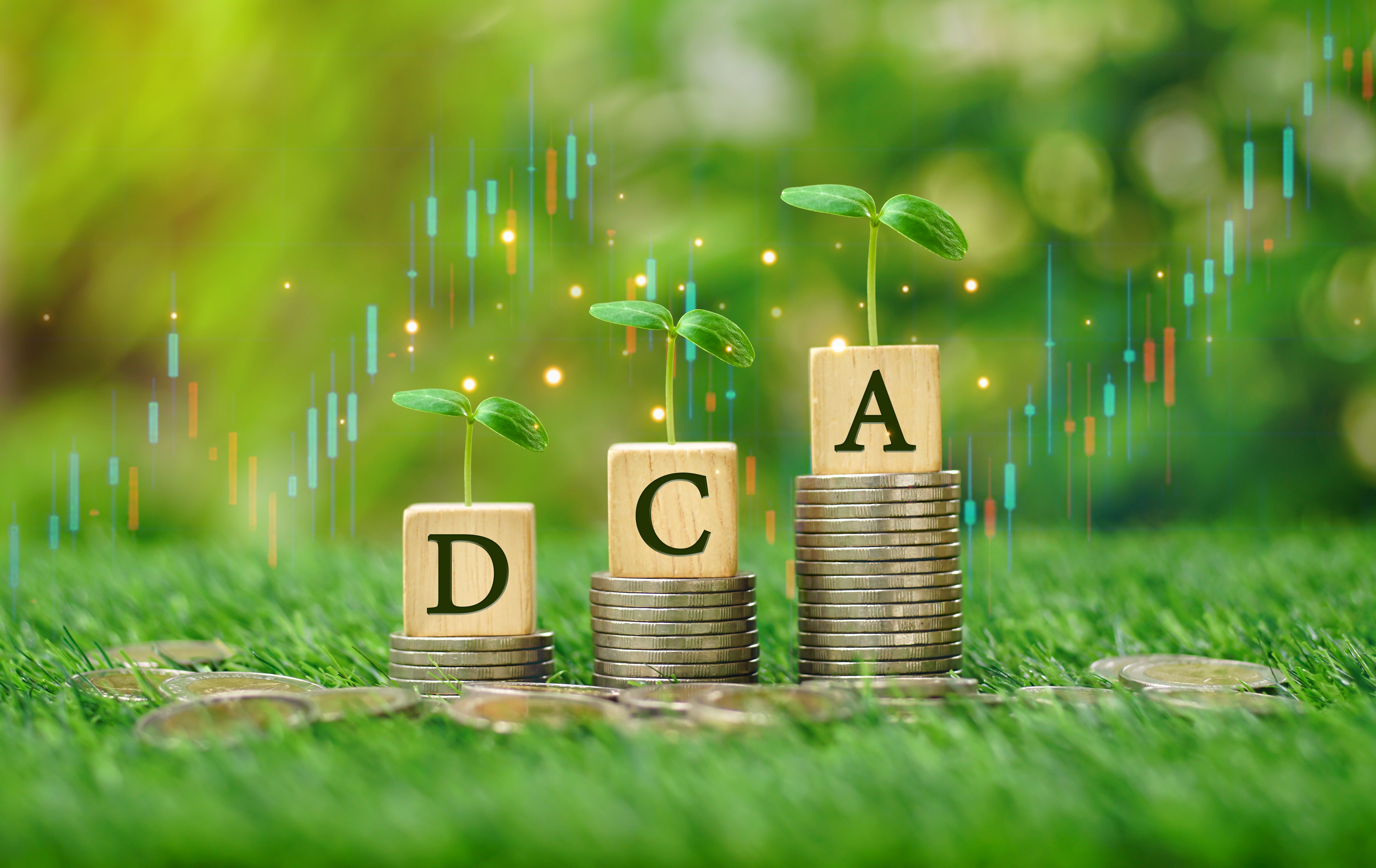 rows-money-coins-stacks-with-dca-word-wooden-cube-growing-tree-top-candlestick-charts-garden-sunshine-day-background-cost-averaging-investment-strategy-economic-concept.jpg